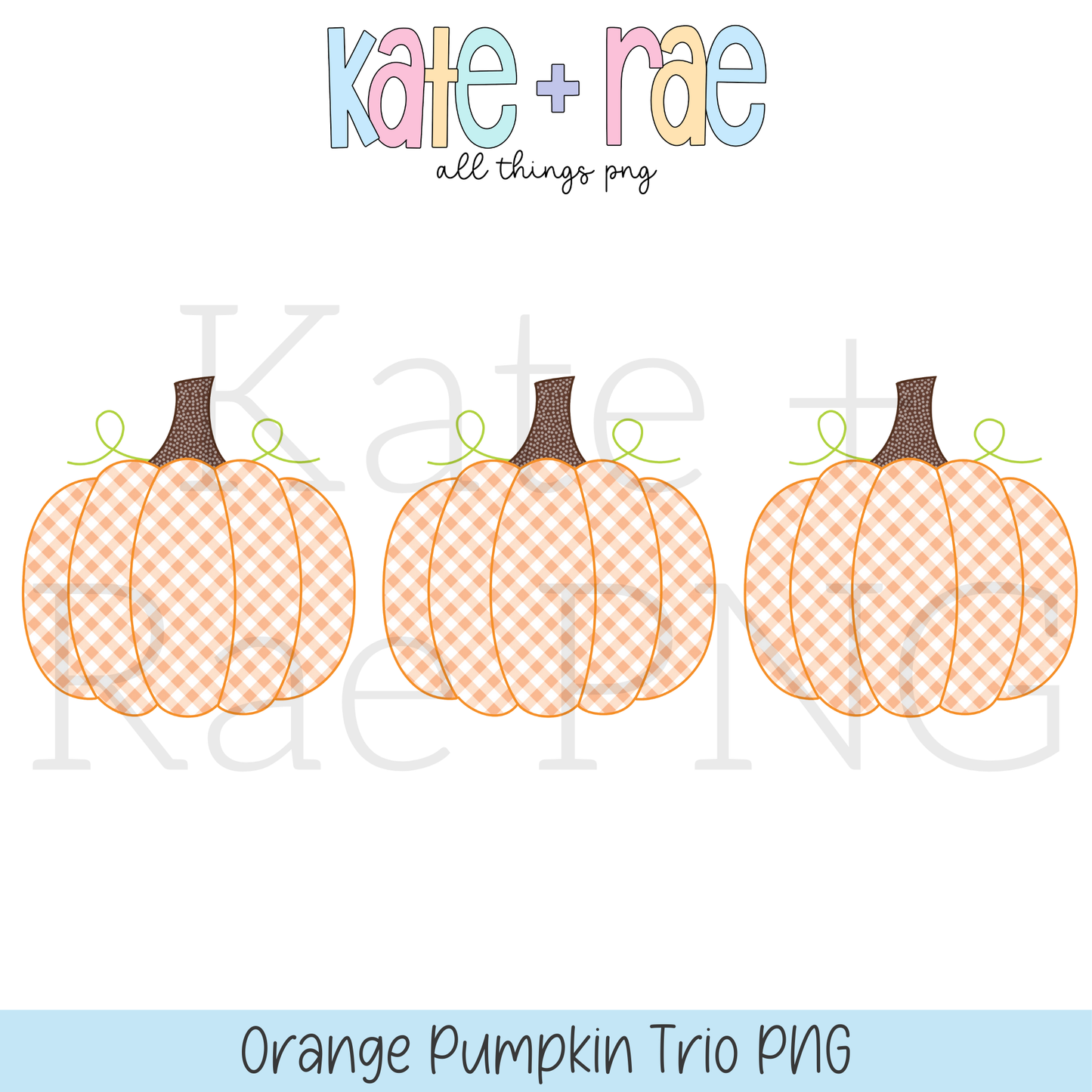 Boy's Orange Pumpkin Trio PNG
