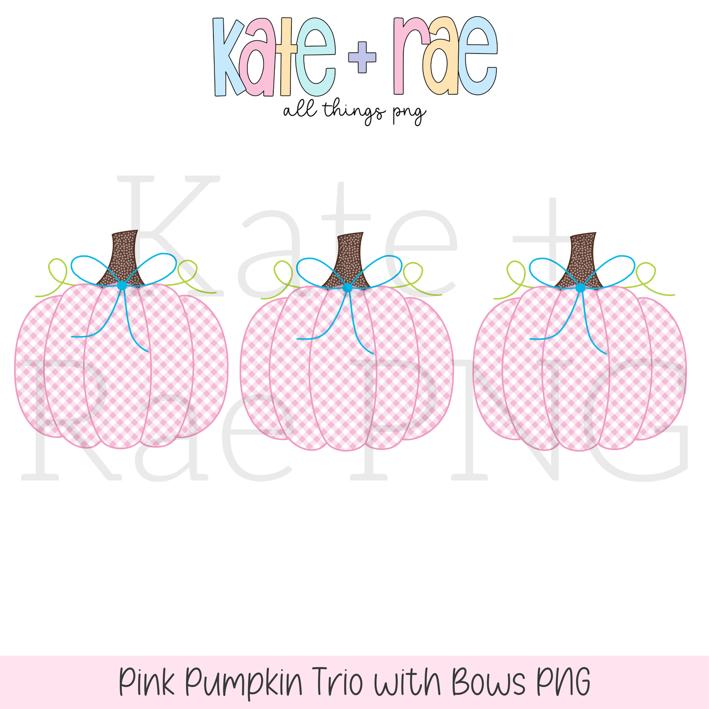 Pink Pumpkin Trio with Bows PNG