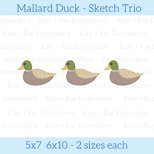 Mallard Duck Sketch Trio