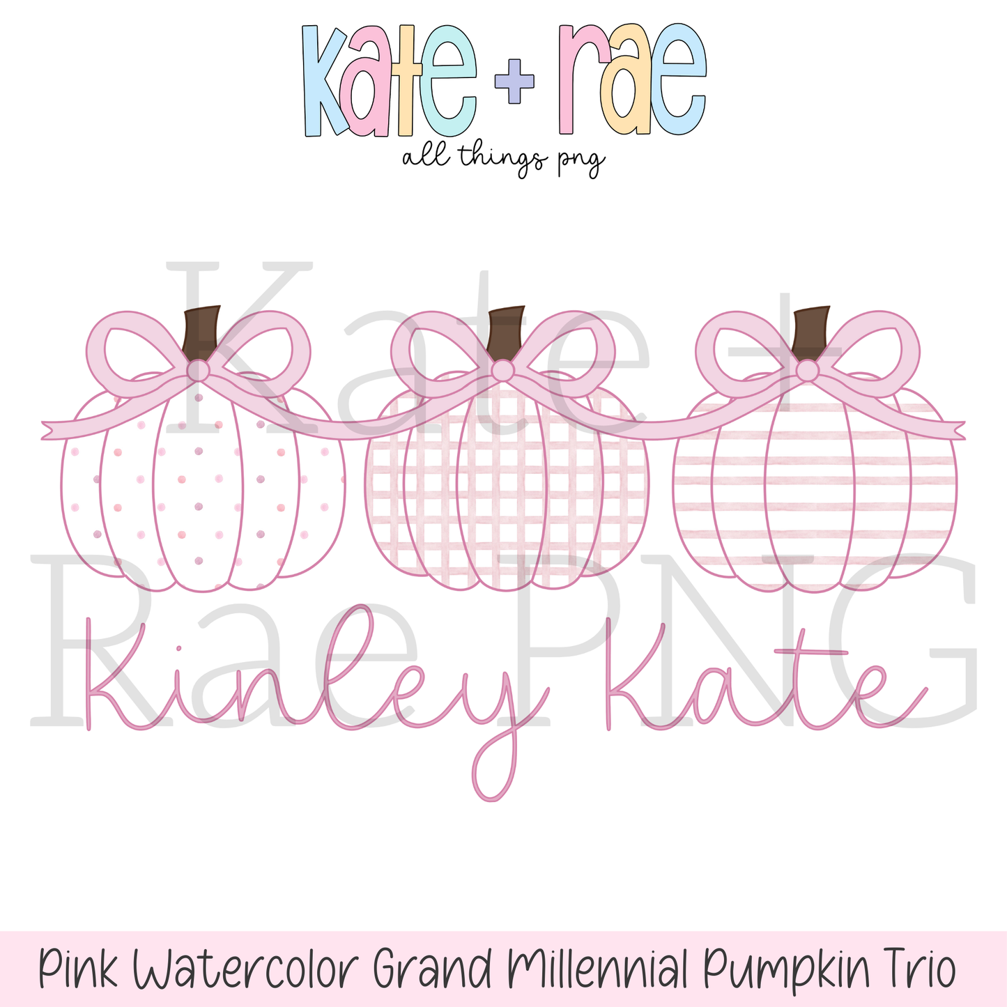 Pink Watercolor Pumpkin Trio with Connecting Bows