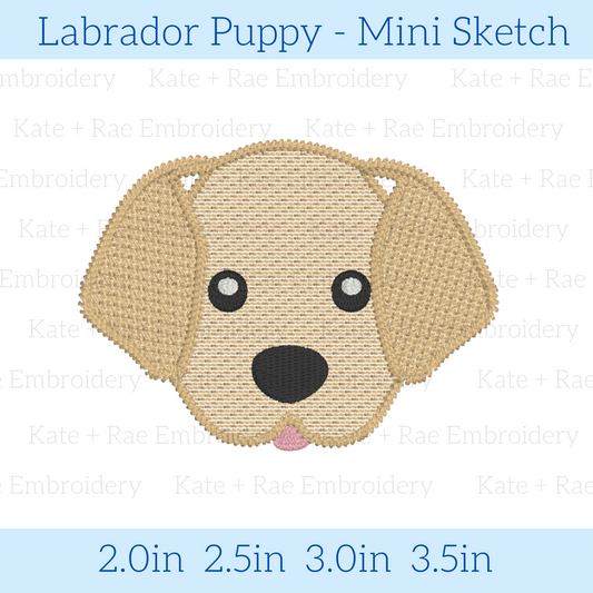 Labrador Boy Puppy Mini Sketch
